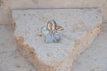 Silver flower-shaped ring on a textured stone surface
