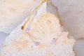 TIDE Anklet