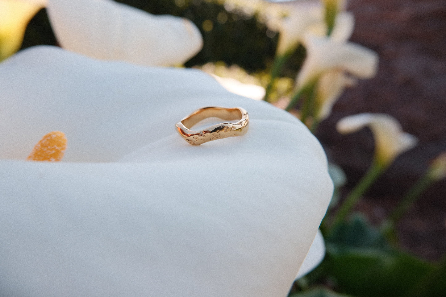 Gold ring on a white flower with a blurred background