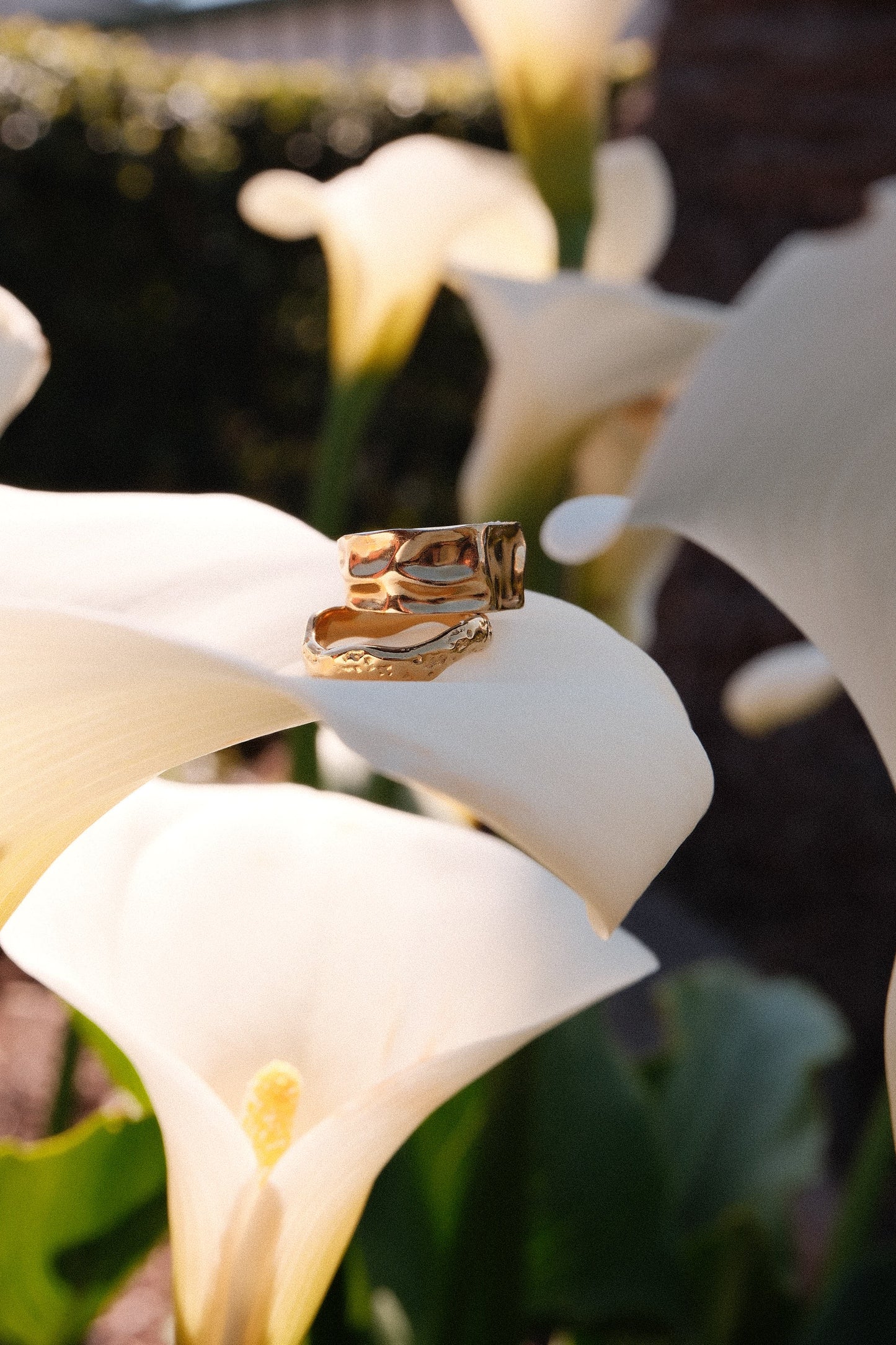 Gold ring on a white flower with a blurred natural background