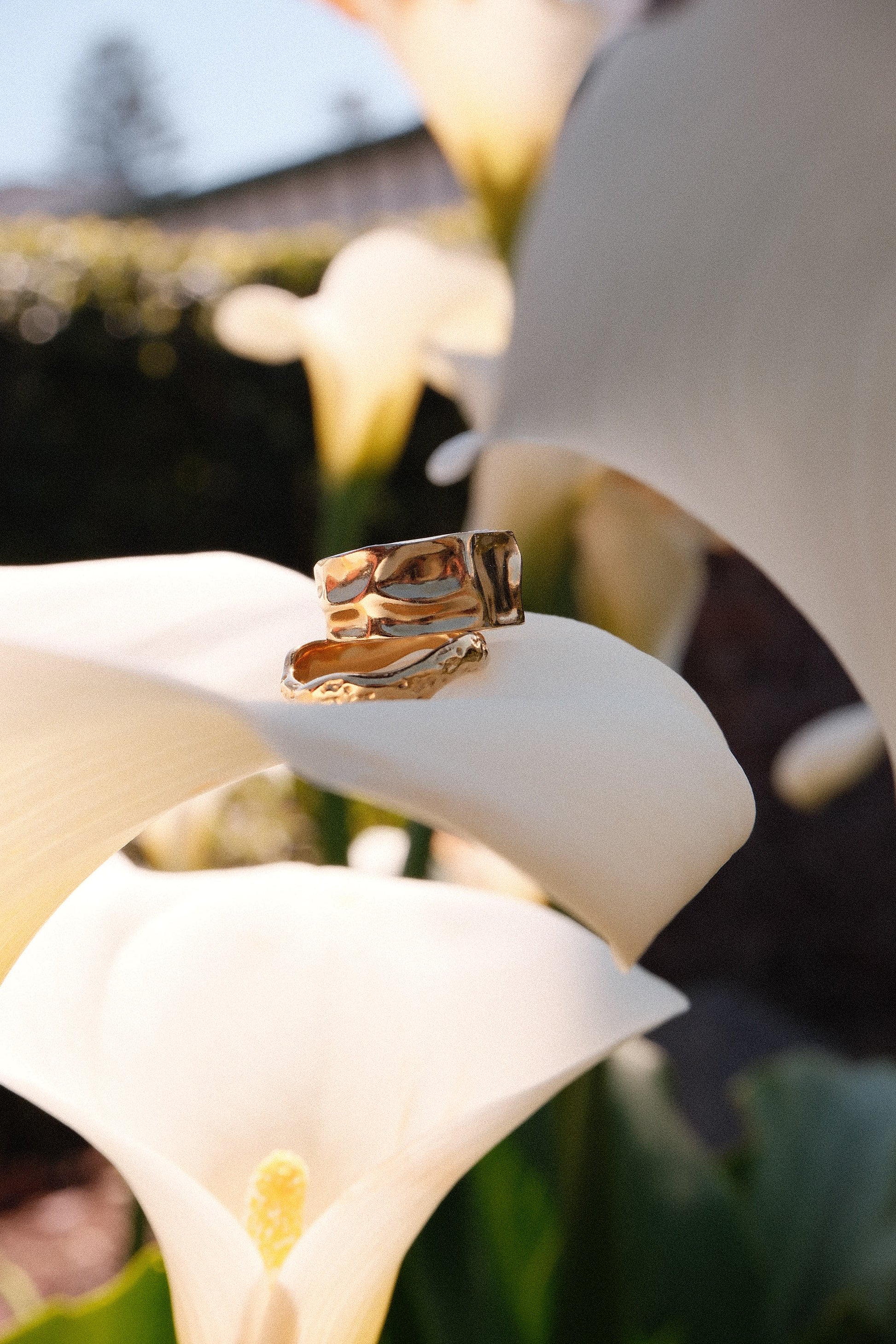 Gold rings on a flower amongst lillies
