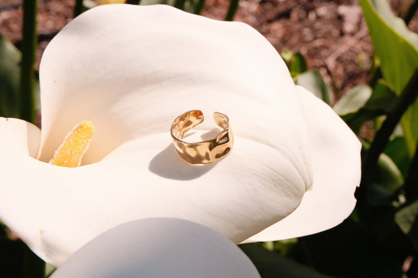 Gold ring on a white flower with a blurred natural background