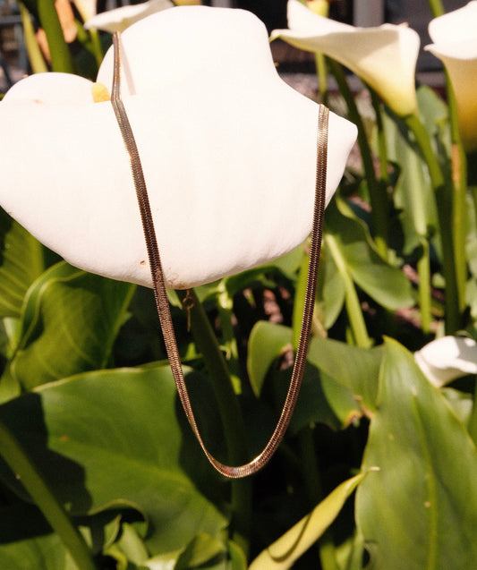 Necklace on white flowers in the background