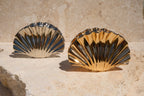 Two shell-shaped claw clips on a stone surface