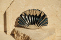Shell-shaped claw clip on a stone surface