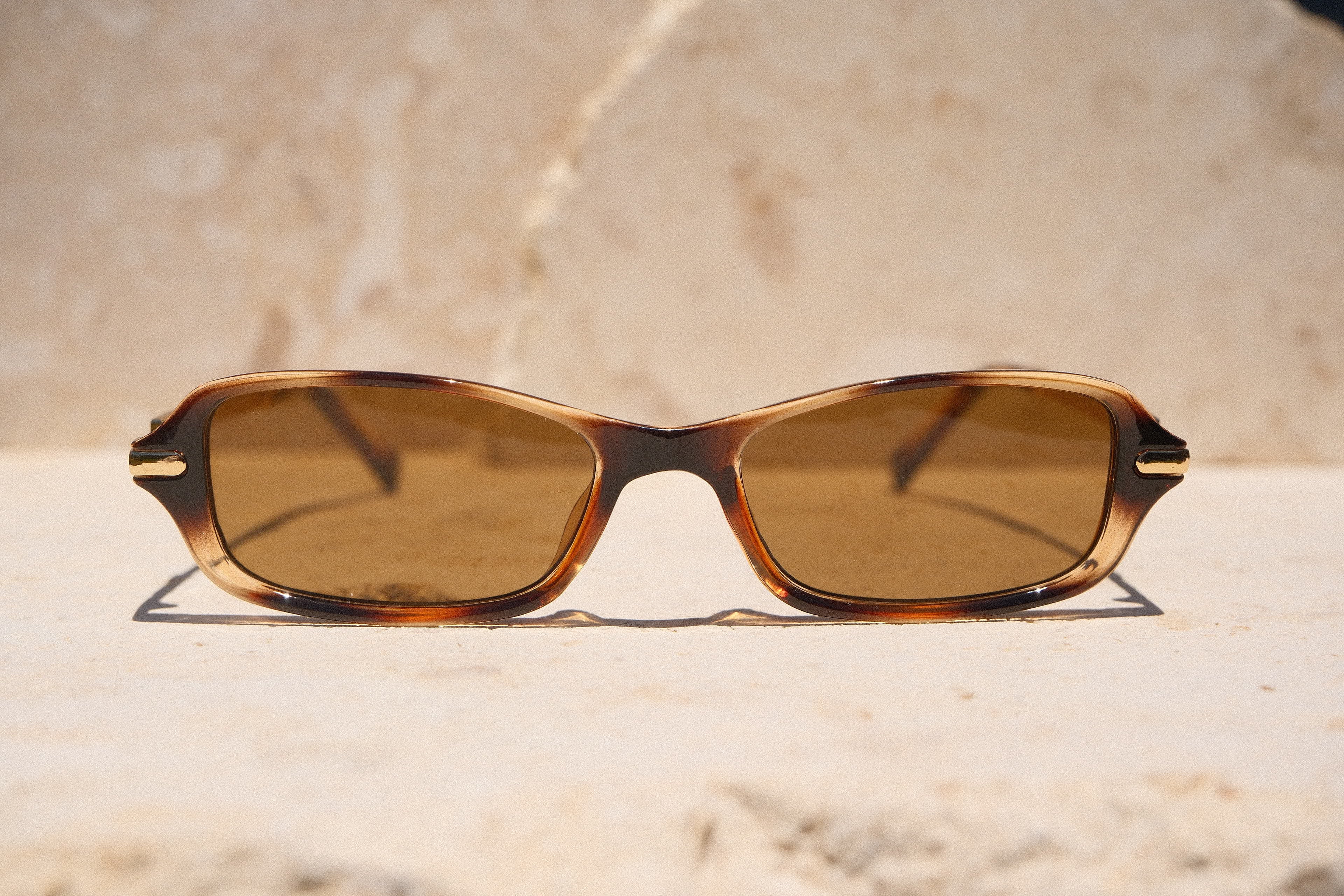 Sol & Aura - Jordan Sunglasses -Brown sungalasses with gold accents 