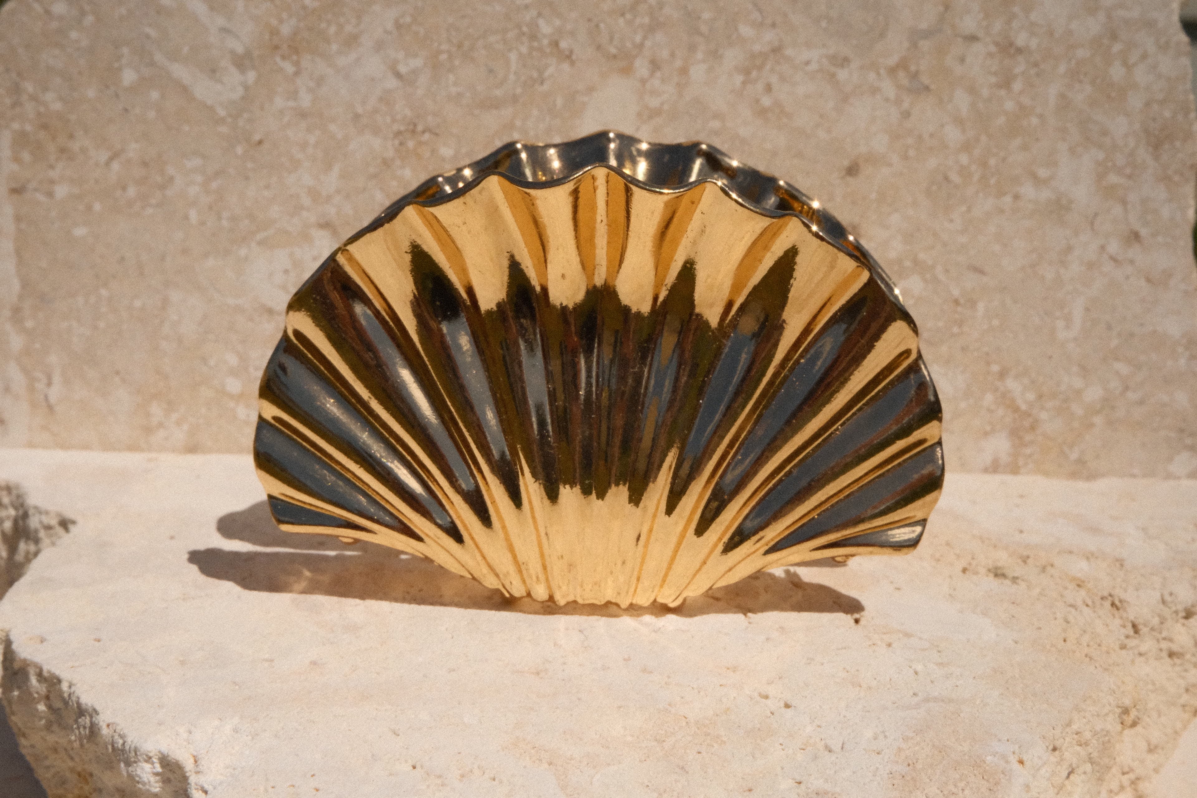 Sol & Aura - Shelly Claw Clip - shell-shaped claw clip on a stone surface with a neutral background